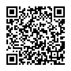 托拜尔斯将一盆炸的金黄的小鱼端到了杨锐面前二维码生成