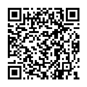 执行人当中真正知道消息的只有花义天和战如意二维码生成