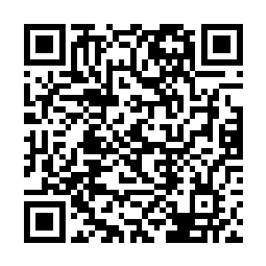 扫视过那些名流巨星们――他们几乎全都暂停了对话二维码生成