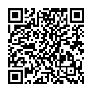 扬起手中的鞭子对着山坡上种植的柳树树干狠狠的抽下去二维码生成