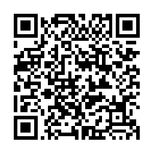 扭动着脑袋想要将那个胆敢抱住自己的人类的脖子咬断二维码生成