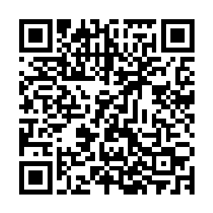 扭头就看到了自家老爹朱老爷子怒气冲冲手持一根刚折断的棍子二维码生成