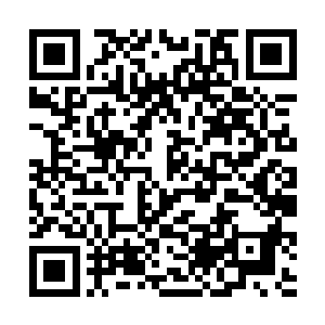 扭曲之影居然直接将窥视的力量种到了他的神国当中二维码生成