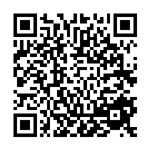 扶桑列岛东海岸的好几座核电站都遭遇了地震和海啸的双重袭击二维码生成