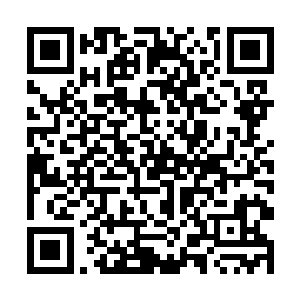 找个看得上自己又待遇优厚的大势力给自己收拾残局二维码生成