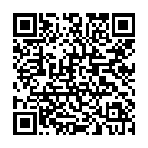 承包的是绿蔬集团陆海燕的办公大楼和全部厂房厂房二维码生成