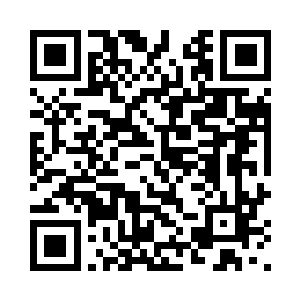 把一只好好的金翅鸟弄得不够威严二维码生成