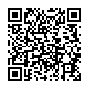 把一堆身份和威胁不明的目标放心的放在自己的背后呢二维码生成
