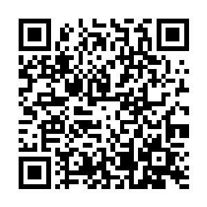 把从她和白娇认识一直到前不久的事情都将给两个人听二维码生成