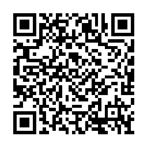 把他下意识为她做的那些温暖的事都给遮盖住了二维码生成