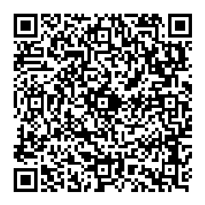 把你自己代入到盘古文明远征军统帅的角色中你带领着整个文明凝聚十万年岁月和三千大千世界的资源才组建的最强舰队二维码生成