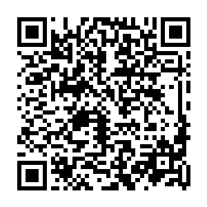 把发霉的豆类煮烂之后和过期的食用油料搅拌在一起密封一段时间后当做氮肥二维码生成