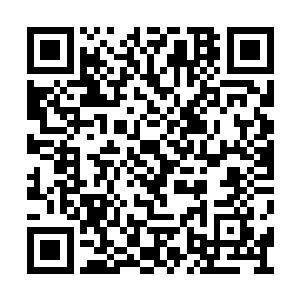 把墨绿色的宽大车身稳稳停在了县委招待所大院二维码生成