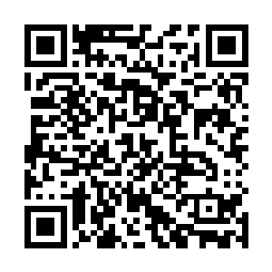 把大河下游流域都视为盘中物的鼎钺高层则是面含不屑二维码生成