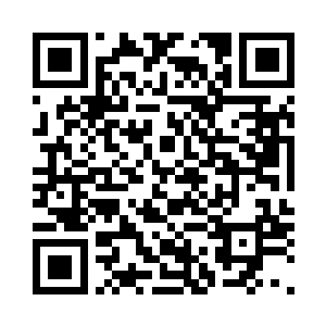 把她一个人丢在东京确实有点对不起二维码生成