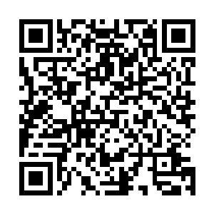 把如此完善的饲养驯服这些火翅黑蚁的方法记载入玉简之中二维码生成