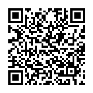 把带来的所有的草筐都装的满满当当太阳也将近下山了二维码生成