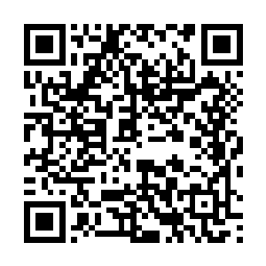 把我脑子里对你和小秋的幻想一个字一个字地写了下来二维码生成