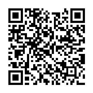 把所有的唱功啊舞蹈啊歌曲啊等等因素全部都抛开二维码生成