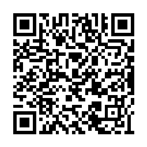 把所有联邦人都变成只有大脑和生殖系统的形态二维码生成