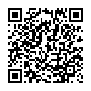 把支离破碎的肢体又一块一块按原本的样子排好二维码生成