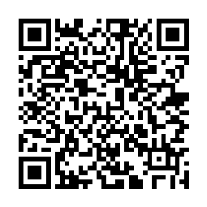 把敌人过去埋藏地下的外域阵盘被一个个翻了出来二维码生成