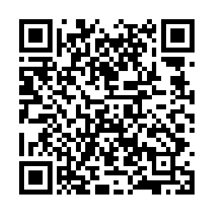 把整个沙州区委区政府给劈头盖脸的一顿严厉批评二维码生成