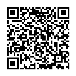 把洗尘仙门养胖了对天剑仙门而言根本花不了几个钱二维码生成