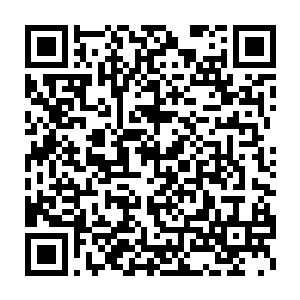把照在其体表之上的紫色神光吸入那鳖壳之上凝出的幻蜃世界之内二维码生成