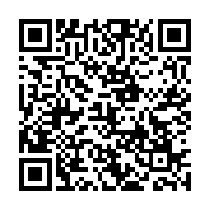 把生命当做儿戏的人你不配在这里跟我谈什么爱情二维码生成