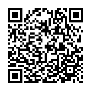 把老者遗体那尖利厚硬的黑色长指甲给修剪一遍二维码生成