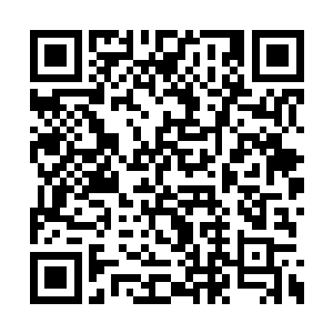 把自己和萧恒墨赶着去古玩城淘的东西也都送上二维码生成