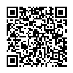 把自己接下去要做的一些事情跟唐伊诺简单的说明了一下二维码生成