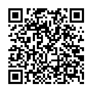 把自己的后背靠在了不知道谁家的坚硬石墙上面二维码生成