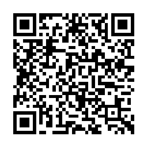 把自己的精神和意志都凝聚在一颗颗滚烫的子弹二维码生成