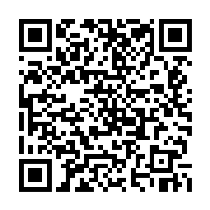 把这些经过大阵仗洗礼的强兵拉到二龙山转一圈二维码生成