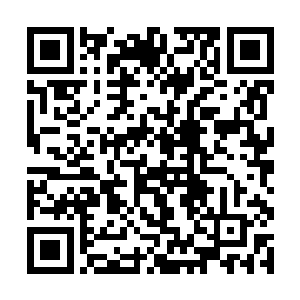 把连枫这个储物袋里的东西全都收到自己的储物袋里二维码生成