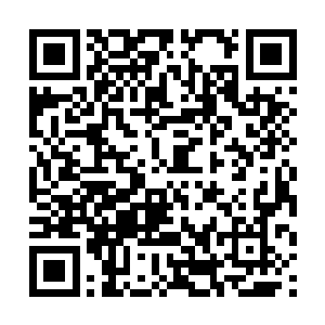 把那些加具在你们母女三人身上的痛苦一一讨要回来二维码生成