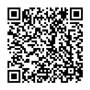 把那些韩国棒子打的跟落水狗似的――他从韩国回来的时候我还去接机了呢二维码生成