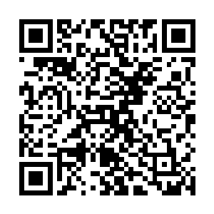 把那些骨器随意交给一些对我们有角人有仇恨之心的人二维码生成
