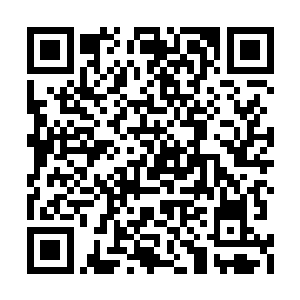 把那漂浮在不远处失去了主人的紫竹笔收进其内二维码生成