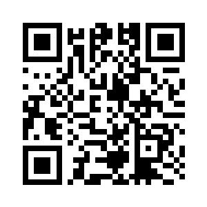 把防弹衣上的陶瓷插板放到包里二维码生成