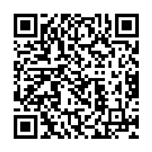 把鱼子酱和三分熟的菲力牛排收拾了就开始轻抿甜酒二维码生成