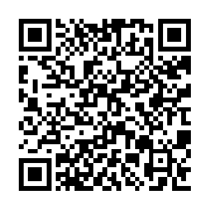 抓一个人逼问出试炼之地的下落也不用这么麻烦二维码生成