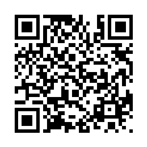 抓了两张大的芭蕉叶靠在附近的树干上二维码生成