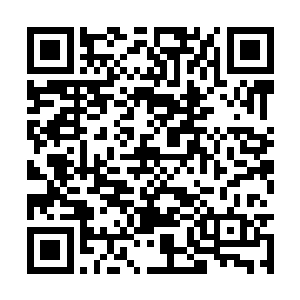 抓住她不停动着的小手凑到自己嘴边轻轻的亲了亲二维码生成