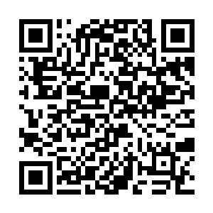 抓着王天宇的肩膀便冲向了从茅草屋中跑出来的众人二维码生成