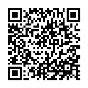 投身于德国著名的哲学家胡塞尔和海德格尔的门下深造二维码生成