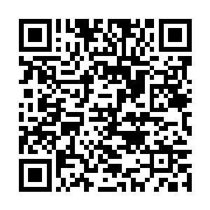 折袖和唐三十六根本没有办法追上中年书生的脚步二维码生成