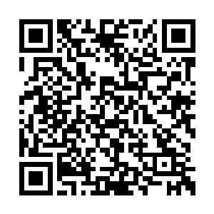 抛下丈夫跟着女儿离开这种事她不敢做也做不了二维码生成